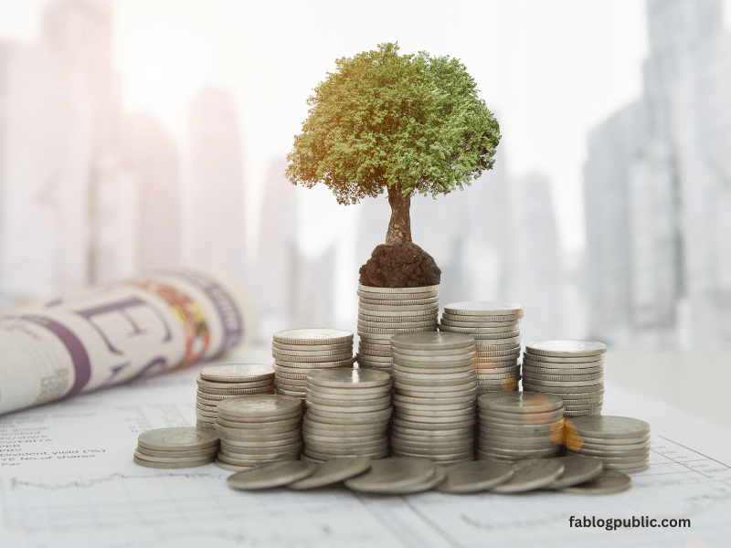 Finance and Investment