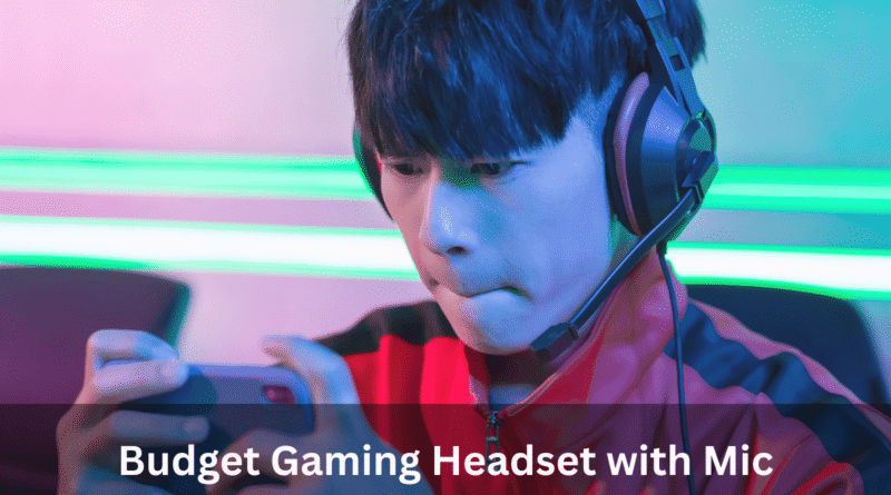 Budget Gaming Headset with Mic
